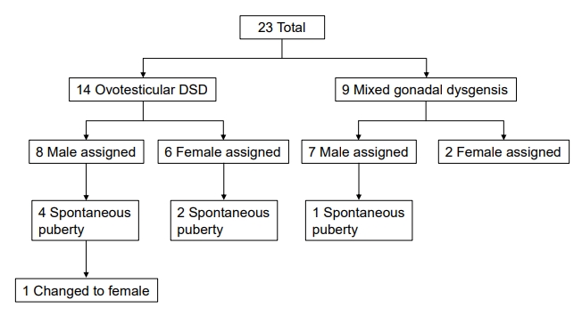 Pubertal Outcomes And Sex Of Rearing Of Patients With Ovotesticular Disorder Of Sex Development